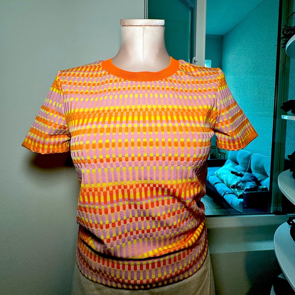 Zara multicolor crop knit top